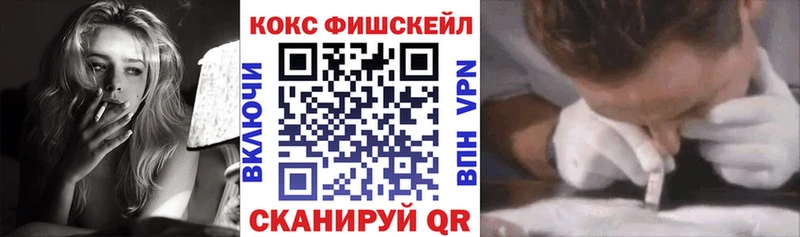 купить закладку  Болотное  Cocaine Fish Scale 