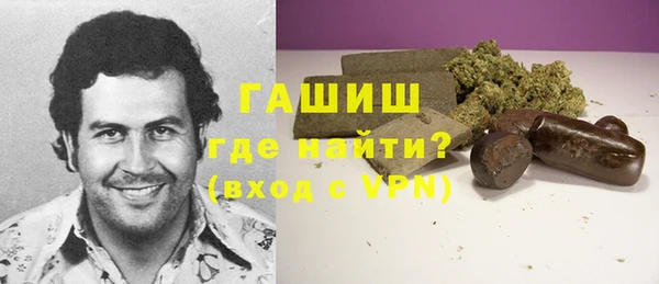 мет Алексин