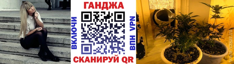 Каннабис гибрид  Болотное 